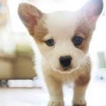 Demoslot303: Agen Judi Slot Gacor Terbaru Gampang Menang 2023