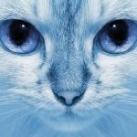 DAFTAR LINK SLOT NEW MEMBER BONUS 100% - 200% DI DEPAN TO 8X | SLOT JACKPOT BONUS 100 MEMBER BARU TO 8X 10X 7X